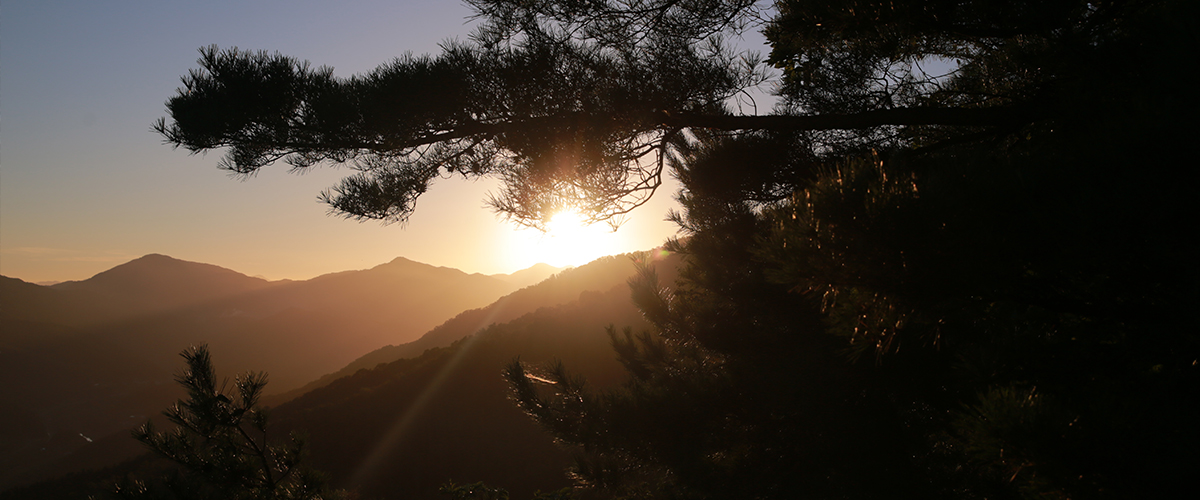 “나라의 미래는 세계적인 인재 양성에 달려 있다” 